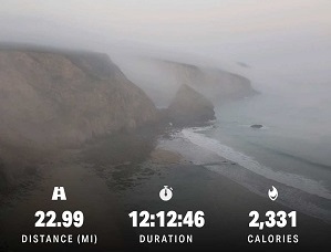 walking statistics and surreal morning coastline
